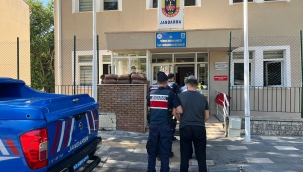 Salur Yangınında 3 Şüpheli