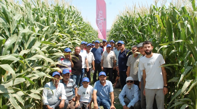 Silajlık Mısırda Yeni Ürün Tanıtımı