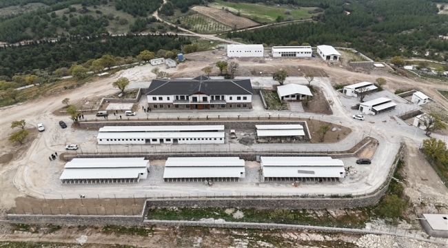 Sahipsiz Hayvanlar Korunma- Koruma Eylem Planı Kapsamında Denetimler Sürüyor