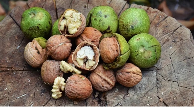 Ceviz Üretiminde Gördes Marka Oldu