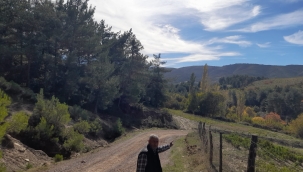 Kabakoz-Beğel Arasına Yol Gerekli