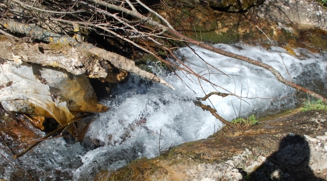 Gördes'in Su Derdi Çözüme Kavuşuyor