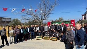 Çiğillerde 73.000 Domates Fidanı Dağıtıldı