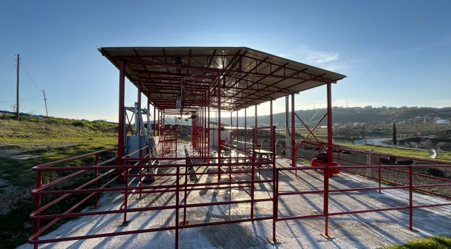 Yalçın Et Besi Çiftliği Kurban Satış ve Kesim Tesisi Bayrama Hazır