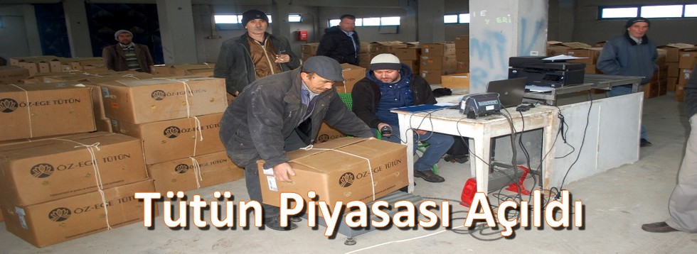 Tütün Piyasası Açıldı