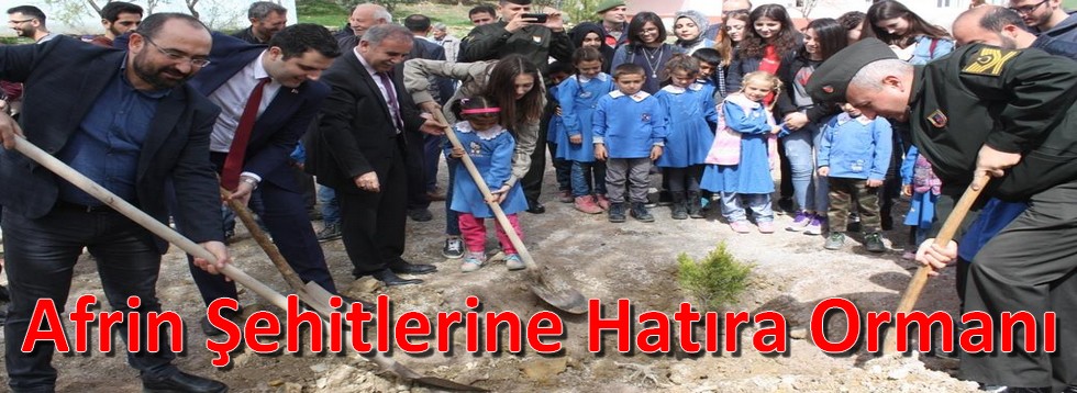 Afrin Şehitlerine Hatıra Ormanı