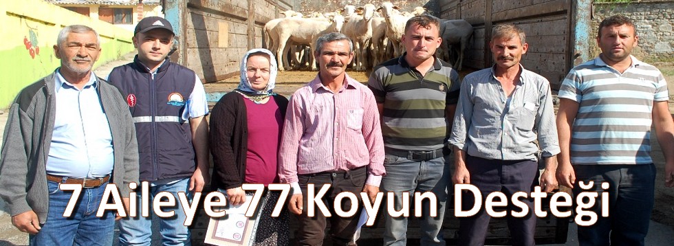 7 Aileye 77 Koyun Desteği