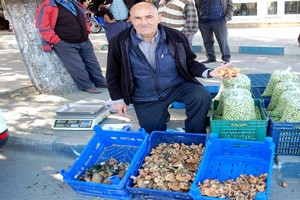 Kırmızı Mantar 15TL