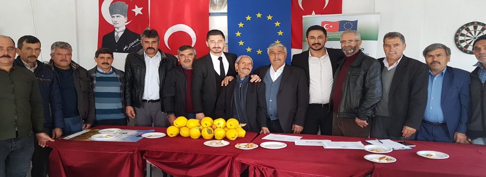 Gördes Ayvası Yeniden Gözde Oldu