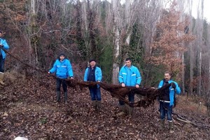 Su Borusundan 8 Metrelik Ağaç Kökü Çıktı