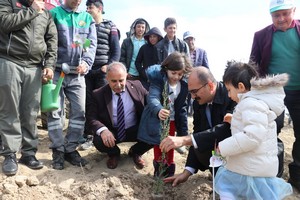 Bir Fidan Bin Gelecek