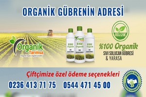 Organik Tarımsa Çiftçinin Yüzünü Güldürüyor