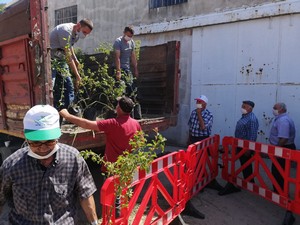 5 Bin Meyve Fidanı Dağıtıldı