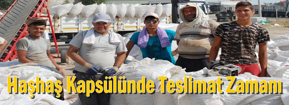 Haşhaş Kapsülünde Teslimat Başladı