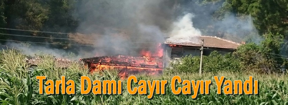 Tarla Damı Cayır Cayır Yandı