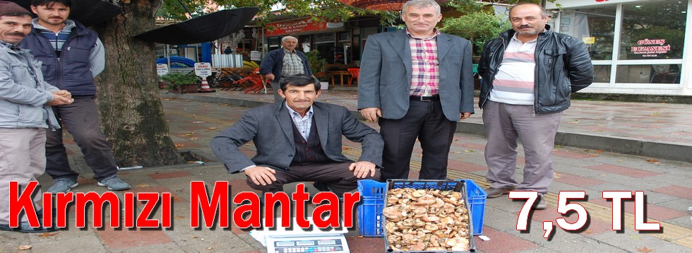 Kırmızı Mantar 7,5 TL