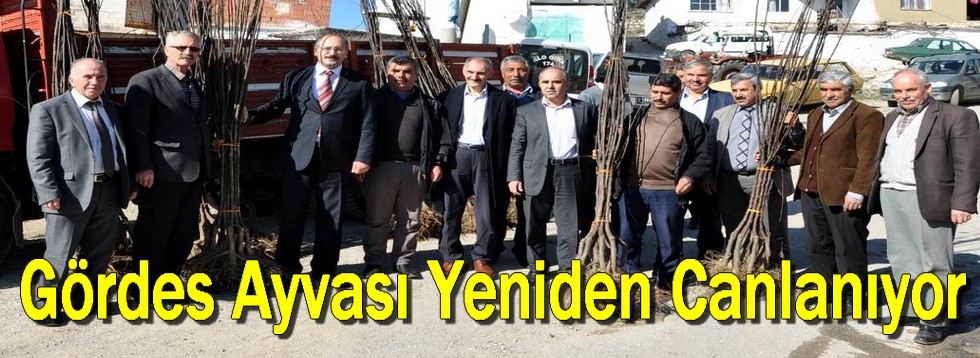 Gördes Ayvası Yeniden Canlanıyor