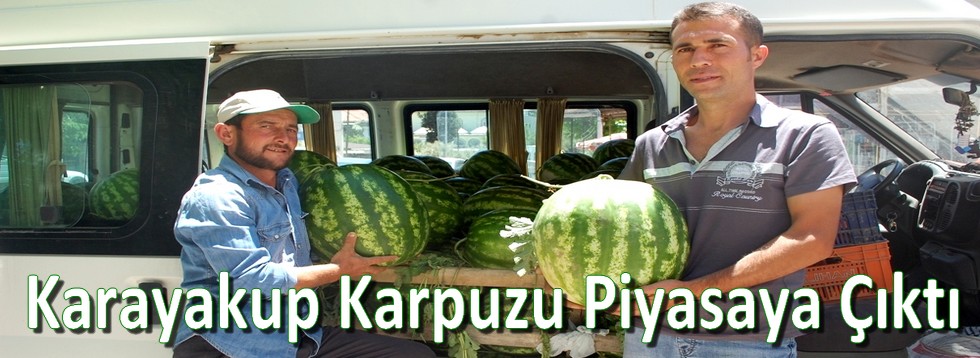 Karayakup Karpuzu Piyasaya Çıktı