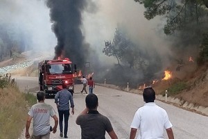 Yanan Kamyon Ormanı da Yaktı