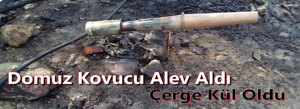Domuz Kovucu Alev Aldı Çerge Kül Oldu