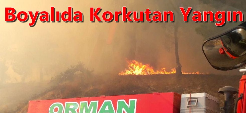 Boyalı'da Korkutan Yangın