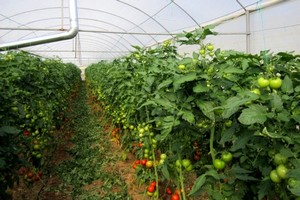 Orköy'den Çiftçiye Büyük Destek