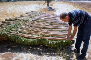 Tütünde Piyasa Hazırlıkları Başladı