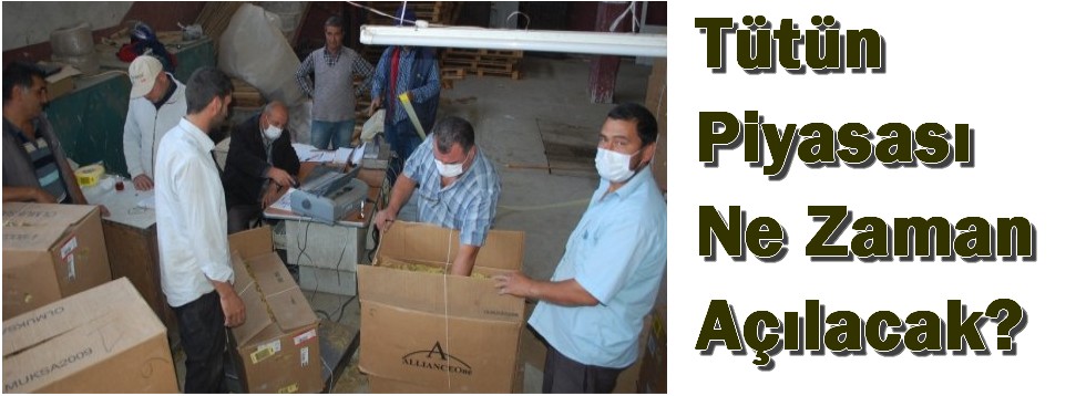 Tütün Piyasası Ne Zaman Açılacak?