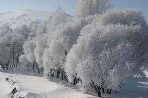 Zemheri Ayı Dişini Gösterdi