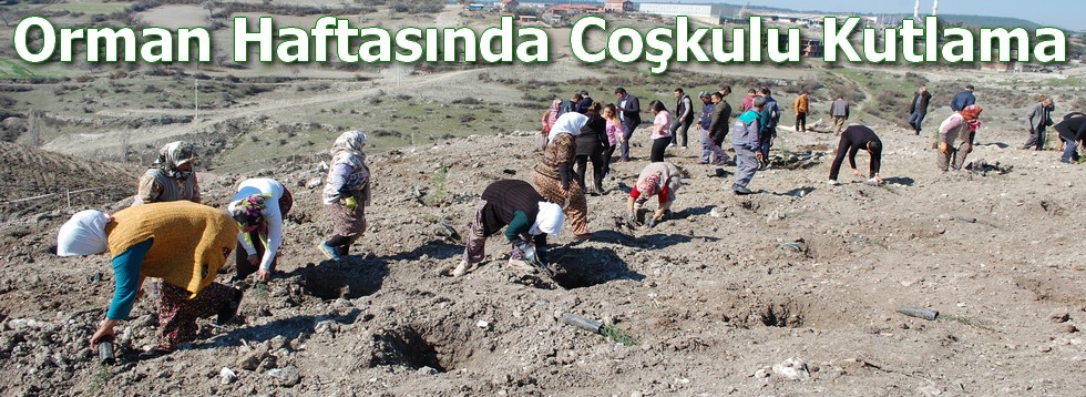 Orman Haftasında Coşkulu Kutlama