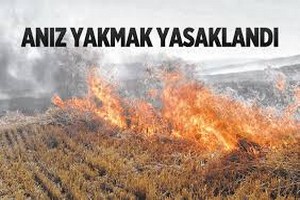 Anız Yakmak Yasaklandı