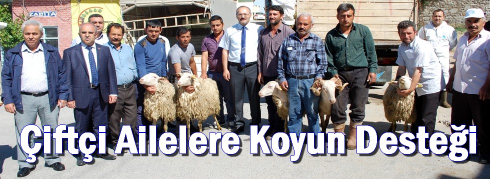 Çiftçi Ailelere Koyun Desteği