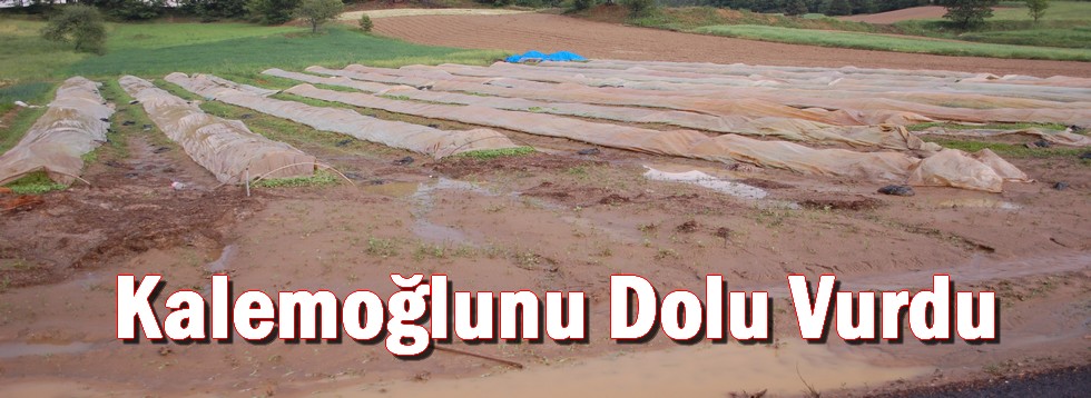 Kalemoğlunu Dolu Vurdu