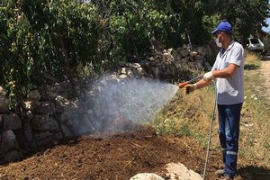 Haşereyle Mücadele Sürüyor