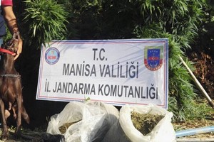 Jandarmadan Hint Keneviri Operasyonu