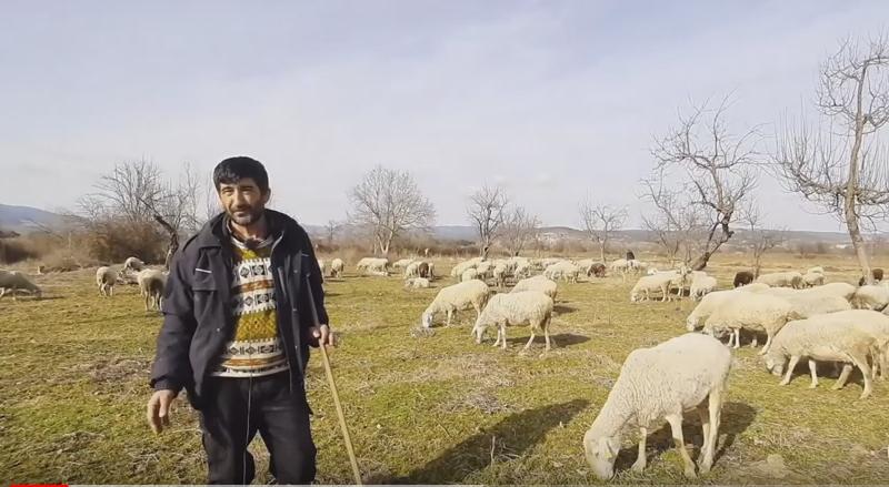 Güneşli'de Bir Çobanlık Hikayesi